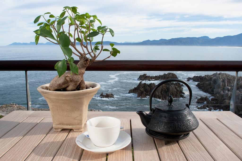 Cliff Lodge Gansbaai Zewnętrze zdjęcie